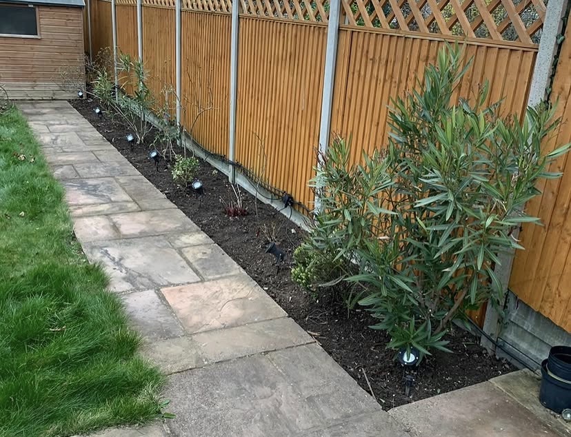 Garden after