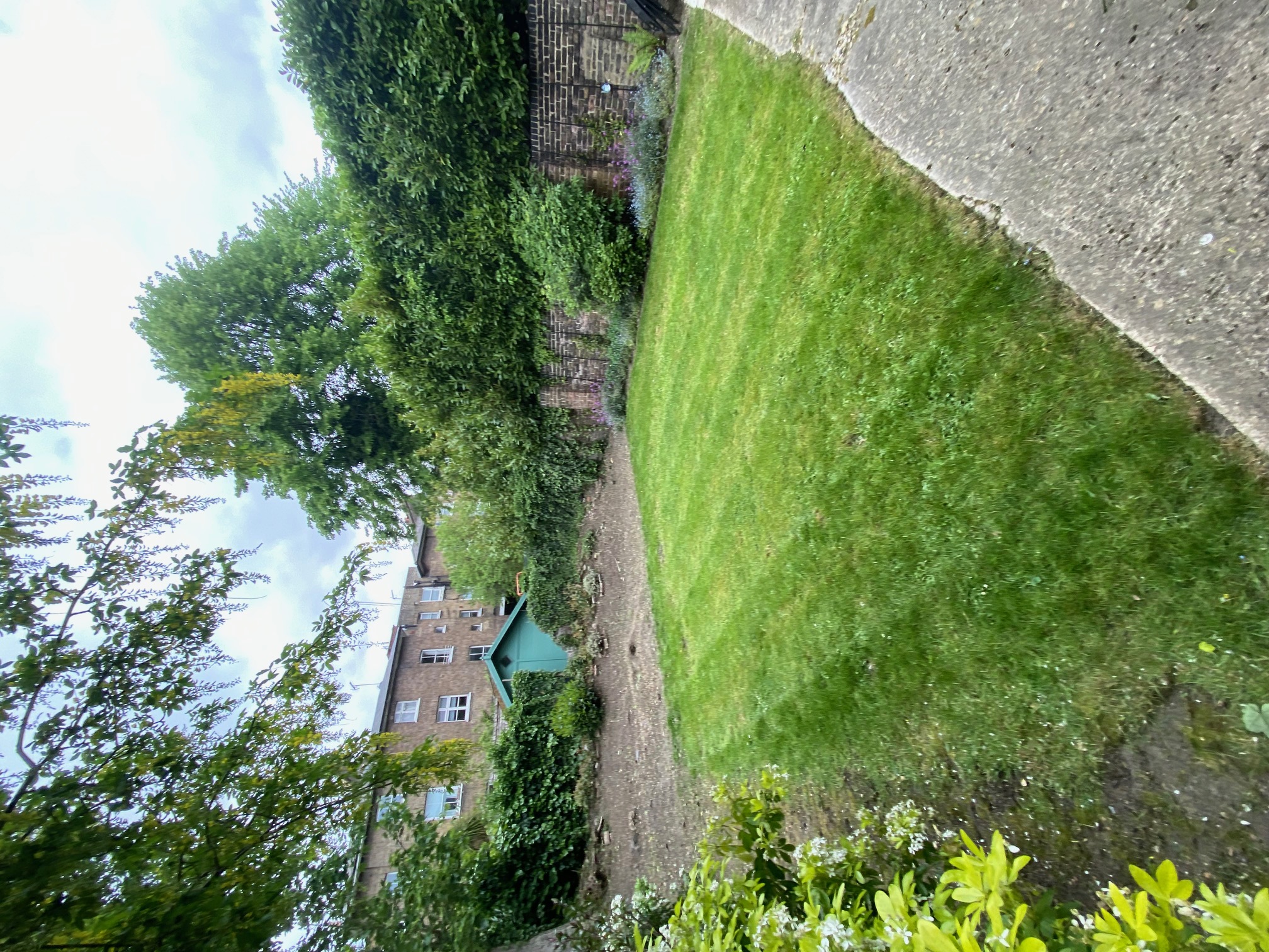 Garden clearance and lawn