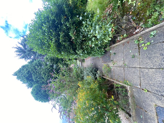 Before