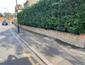Hedge trimming after