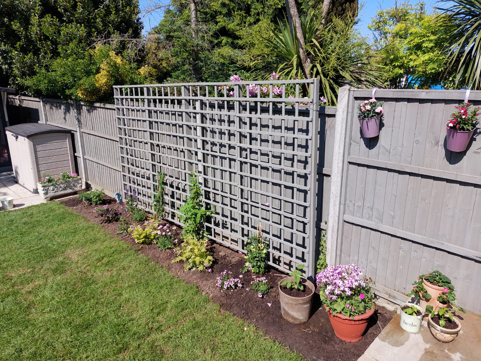 Garden trellis and planting